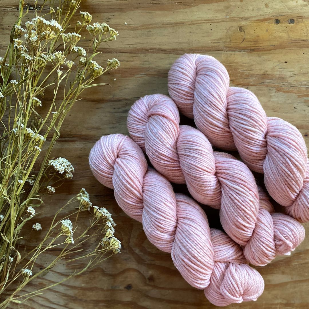 Study In Pink - Cockatoo