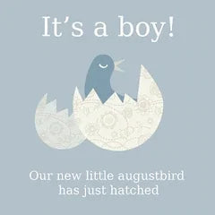 Illustration of a blue bird hatching from a patterned egg with text announcing a baby boy from Augustbird