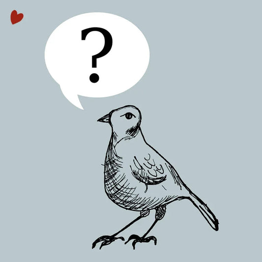 Hand-drawn bird with question mark speech bubble and small red heart on pale blue background