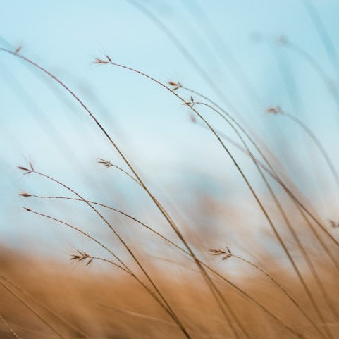 Morning Affirmations Meditation For Knitters