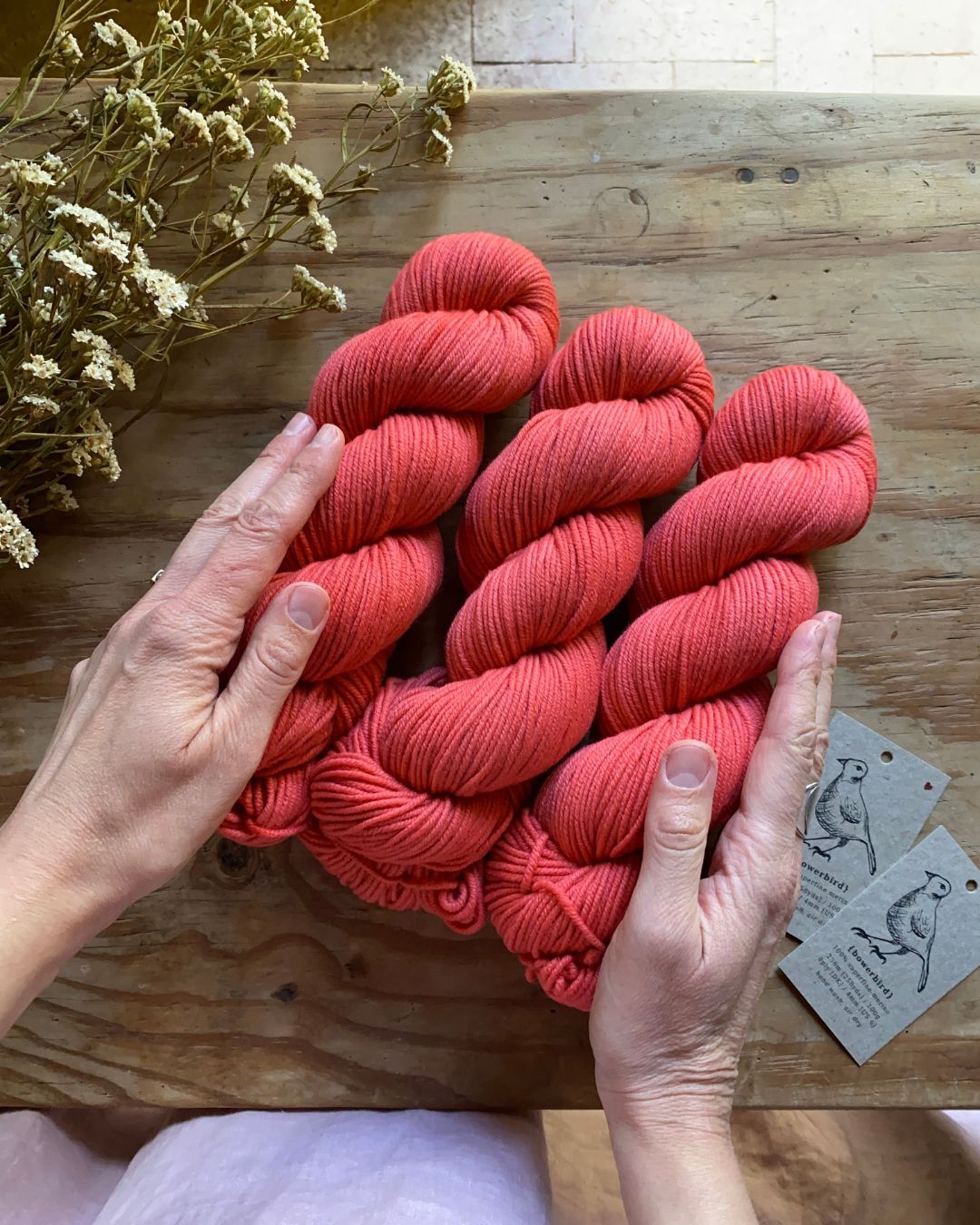 Desert Sunset - Bowerbird