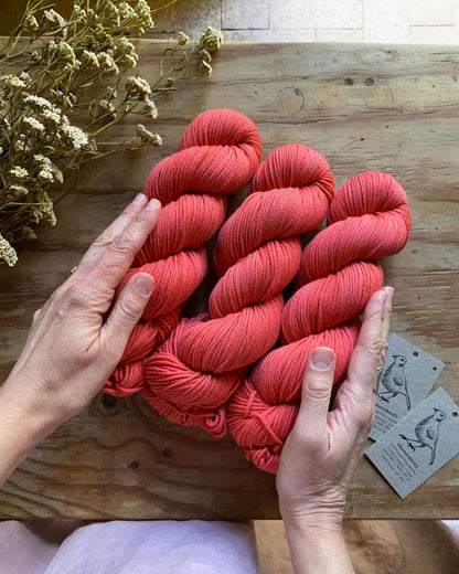 Desert Sunset - Bowerbird