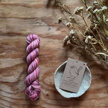 Sweetness - Wren Mini Skein Set