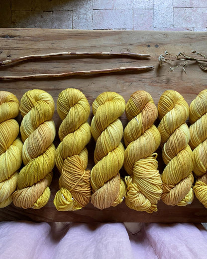 Cockatoos and Jonquils - Yarn Club extra skein