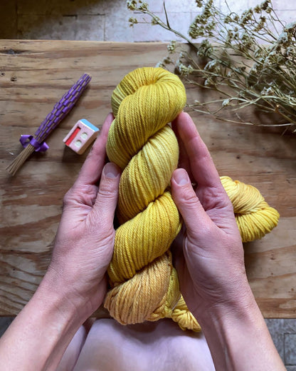 Cockatoos and Jonquils - Yarn Club extra skein