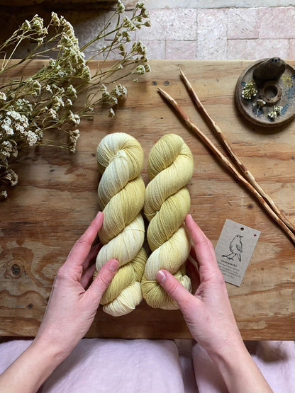 Four Sisters Yarn Club - Jo extra skein