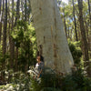 Nature Trails Yarn Club