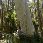 Nature Trails Yarn Club