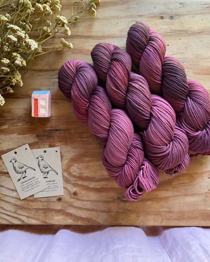 Quiet and Stillness - Bowerbird