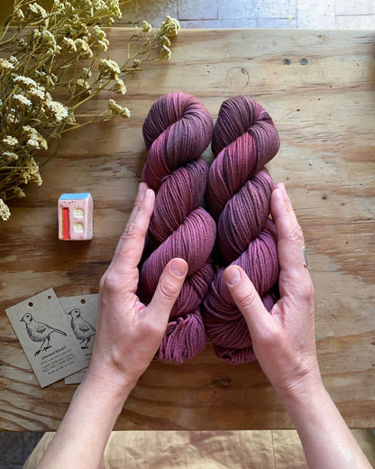 Quiet and Stillness - Bowerbird