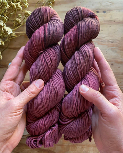 Quiet and Stillness - Bowerbird