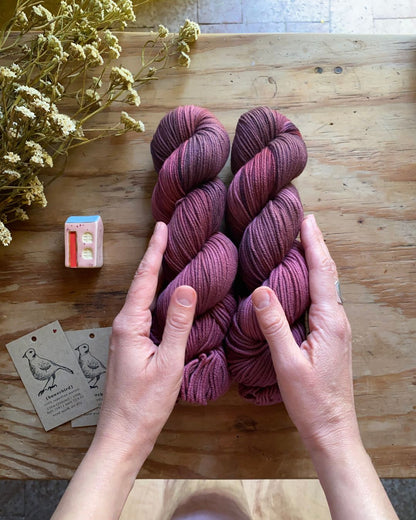 Quiet and Stillness - Bowerbird