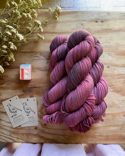 Quiet and Stillness - Bowerbird