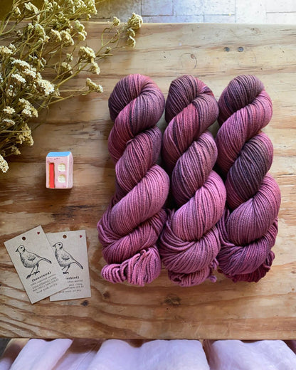 Quiet and Stillness - Bowerbird