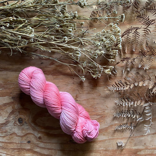 A Sprinkling of Pink - Yarn Club extra skein