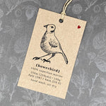Little Tree - Bowerbird