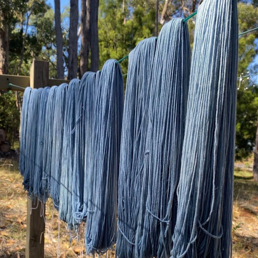 Cloud Gazing - Kookaburra