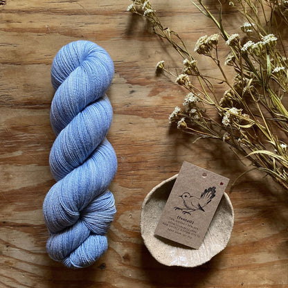 Cloud Gazing - Fantail