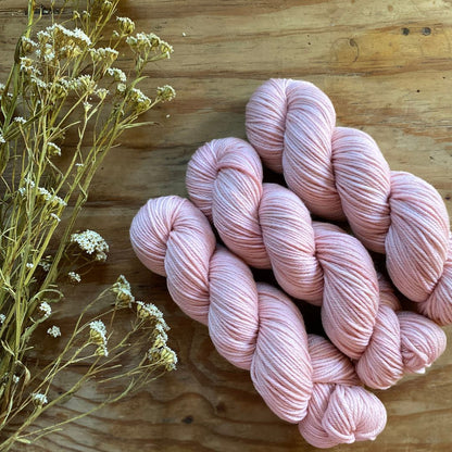 Study In Pink - Cockatoo