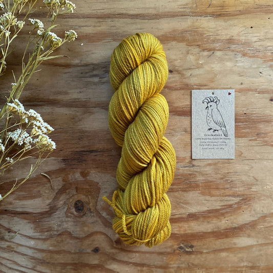 When I Was Little - Cockatoo