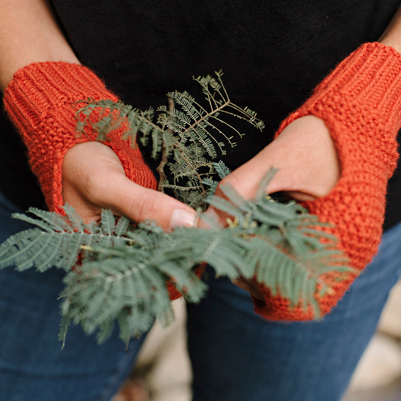 Close up of hands holding delicate leaves