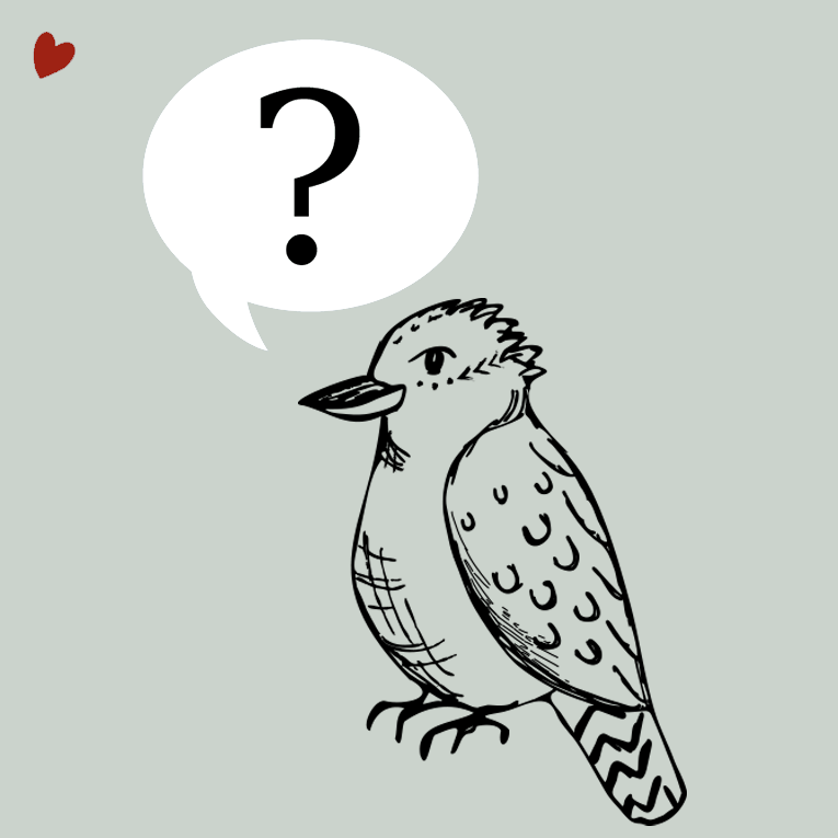 Mystery Bag - Kookaburra