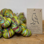 Wildflower Mini Skein - Songlark